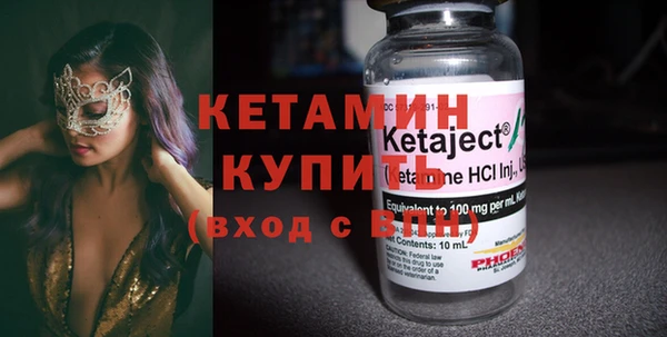 сатива Инта