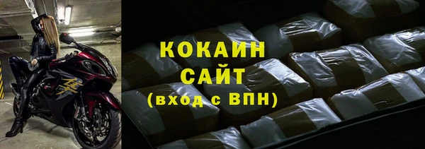 сатива Инта