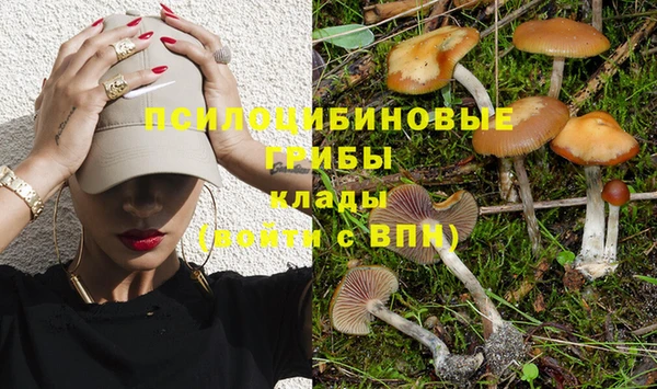 кокаин премиум Инсар