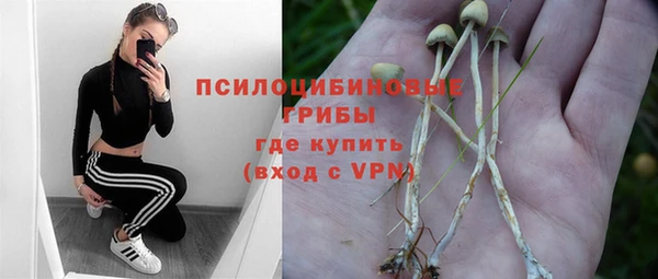 трава Иннополис
