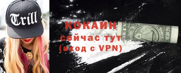 сатива Инта