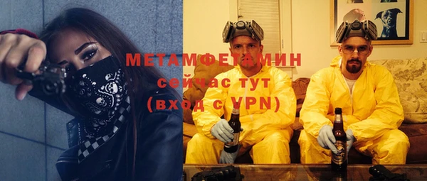 сатива Инта