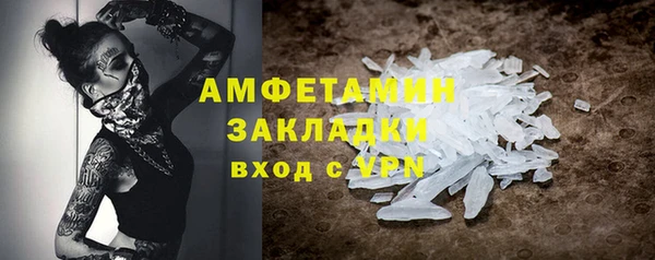 сатива Инта