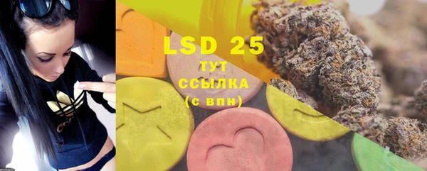 сатива Инта
