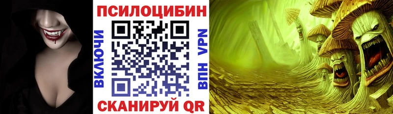 купить наркотики цена  Железногорск  Галлюциногенные грибы прущие грибы 