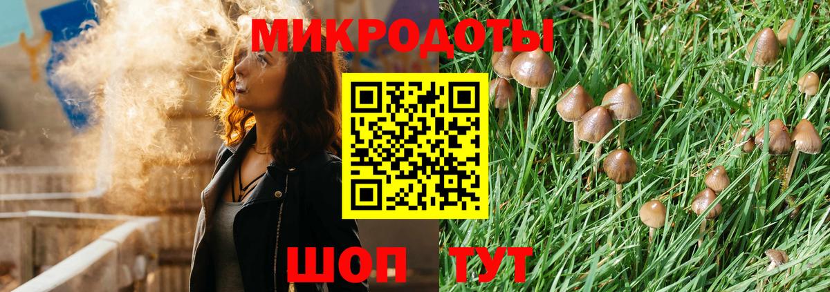 Псилоцибиновые грибы Cubensis Железногорск