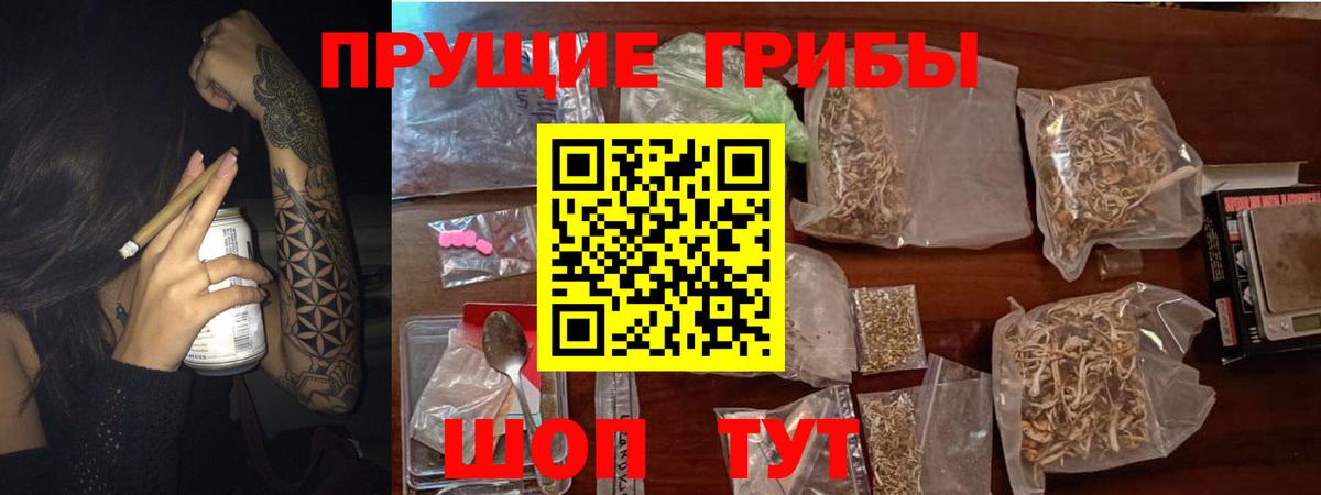 Галлюциногенные грибы Magic Shrooms Железногорск