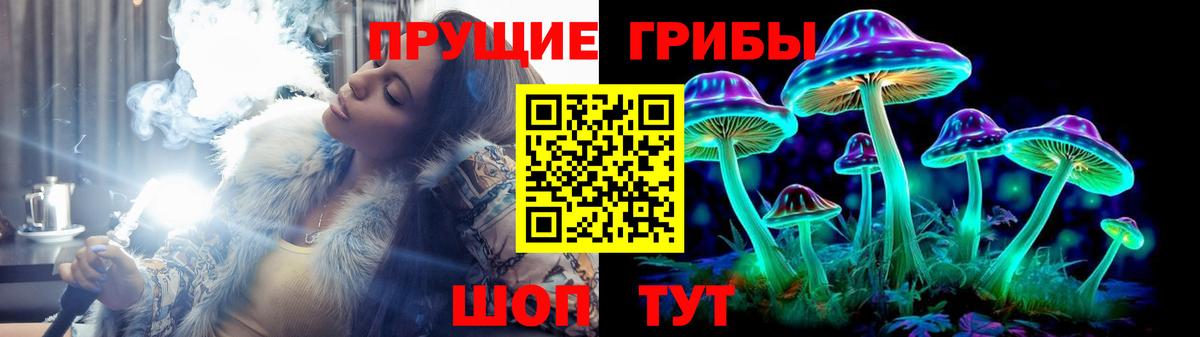 Железногорск  Галлюциногенные грибы MAGIC MUSHROOMS  Галлюциногенные грибы мицелий  Вход с VPN 