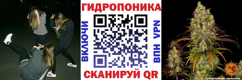 сколько стоит  Железногорск  дарк нет как зайти  Канабис гибрид 